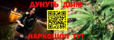 крисы Нальчик